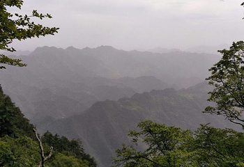 秦岭天竺山生态文化旅游景区第 67 张图片