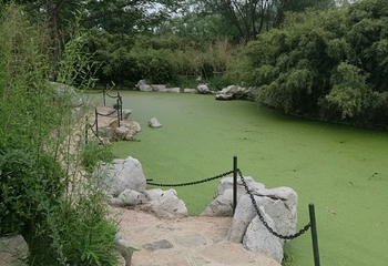 泉城公园第 15 张图片