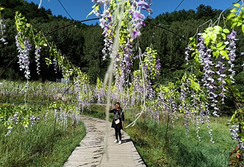 道须沟风景区第 62 张图片