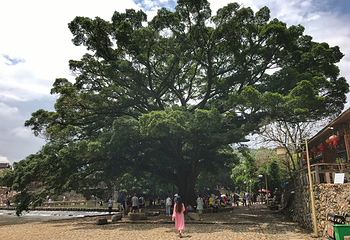 河坑土楼群第 56 张图片
