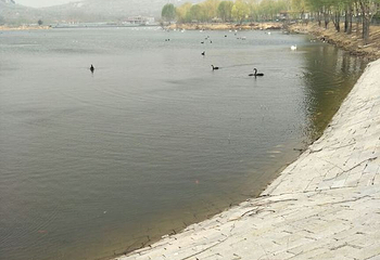 天鹅湖景区第 23 张图片