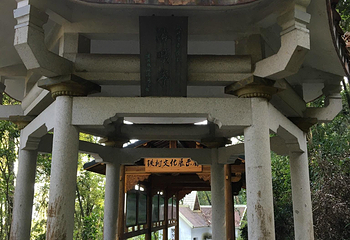 淘金山风景区第 34 张图片
