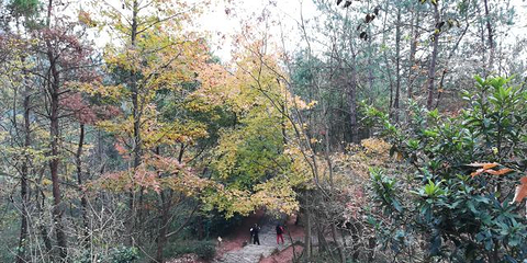 赤城山第 35 张图片