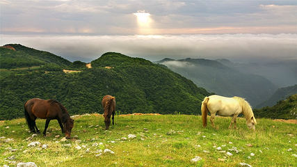 百里荒旅游度假区第 49 张图片