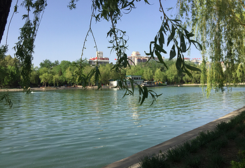 青年湖公园第 13 张图片