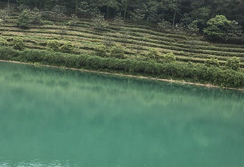 苏州旺山九龙潭风景区第 13 张图片