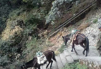蓬壶百丈岩风景区第 31 张图片