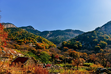 鬼谷子文化旅游区第 7 张图片