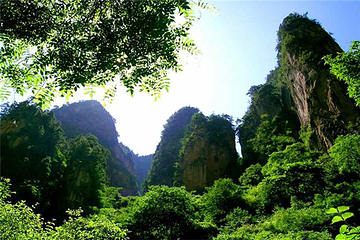 贵清山旅游风景区第 9 张图片