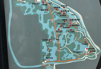 中国扬子鳄村第 54 张图片
