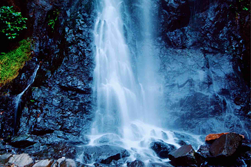 马峦山郊野公园第 23 张图片