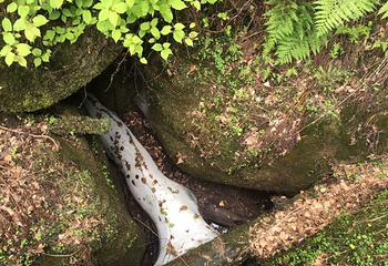 亚布力虎峰岭风景区第 70 张图片