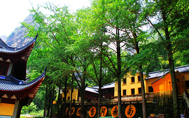灵岩寺第 6 张图片