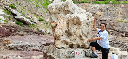 林海公园第 24 张图片