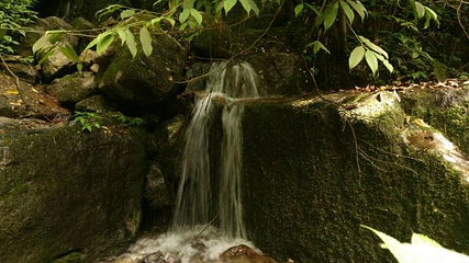 黄连河风景区第 21 张图片