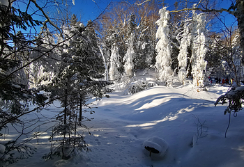 亚布力滑雪旅游度假区第 39 张图片