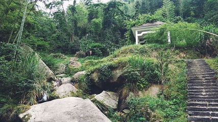 梅岭国家级风景名胜区第 56 张图片