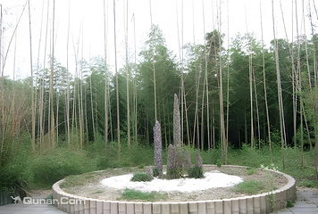 都江堰中华大熊猫苑(原熊猫乐园)第 10 张图片