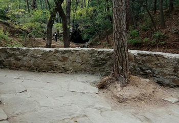 槐树洞第 3 张图片