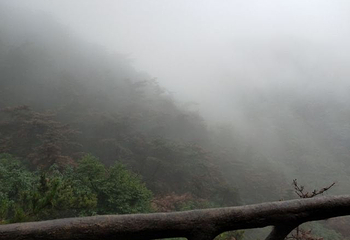 明光寺佛教文化景区第 53 张图片