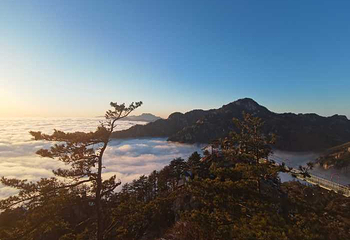 老界岭旅游度假区第 56 张图片