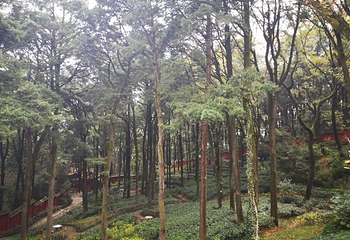 西山风景区-太华寺第 15 张图片