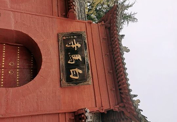 洛阳博物馆第 50 张图片