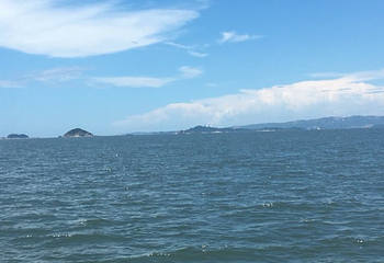 鹭江悠游（旅游客运码头）第 14 张图片