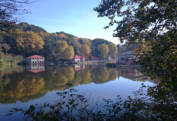 庐山恋影院(河西路店)第 5 张图片