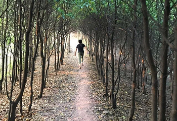 广西桂林山水高尔夫球会第 5 张图片