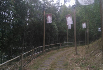 闽清大明谷温泉村第 9 张图片