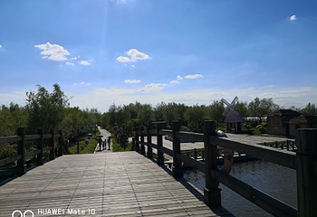 呼兰河口湿地公园第 57 张图片