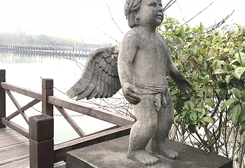 上海雪浪湖生态园第 12 张图片