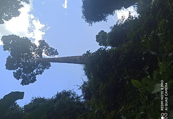 阿莲雅景区第 11 张图片