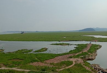 鄱阳湖候鸟保护区第 9 张图片