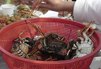 中牟雁鸣湖第 11 张图片