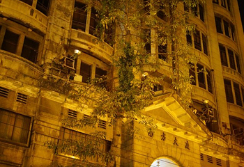 珠江夜游西堤码头第 27 张图片