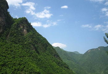松柏风景区第 4 张图片