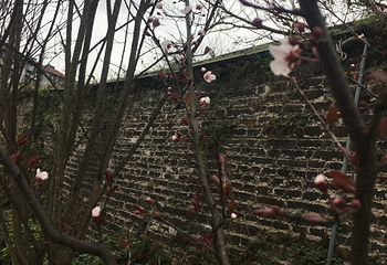 宋代古墙第 21 张图片
