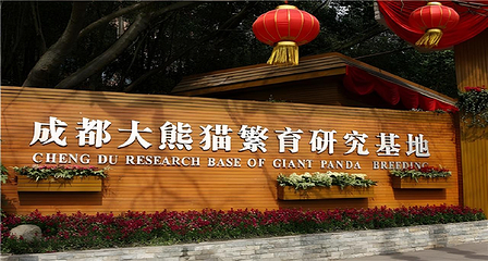成都大熊猫繁育研究基地第 2 张图片