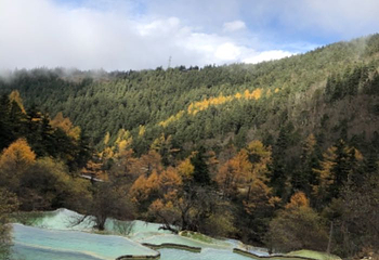 扎如沟第 15 张图片