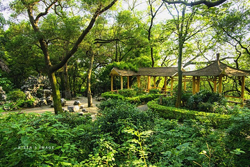 中山公园第 18 张图片