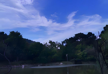 天平山第 97 张图片