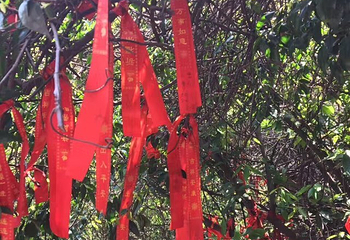 龙坞仙境第 81 张图片