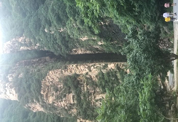 梨木台第 46 张图片