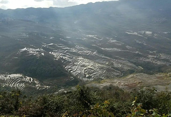 坝达景区第 28 张图片