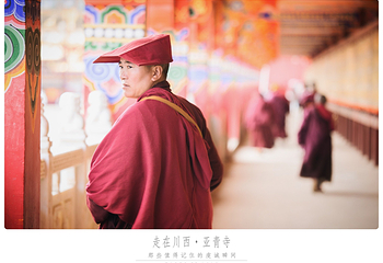 亚青寺第 15 张图片
