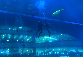 海滨城浩海立方海洋公园第 71 张图片