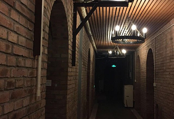 欧菲堡酒庄有机葡萄园第 21 张图片