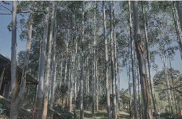 北迹露营1号露营地第 61 张图片